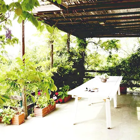 Glicine Villa